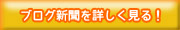 ブログ新聞をもっとよく見てみよう♪