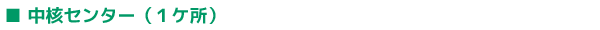 ■中核センター（１ケ所）