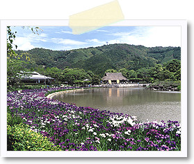 日本庭園 南楽園