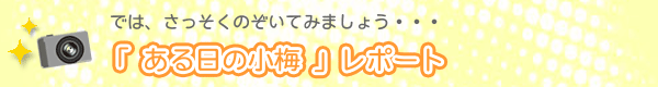 「 ある日の小梅 」ﾚﾎﾟｰﾄ